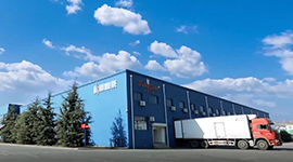 Company Profile 