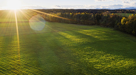 Sustainable Farming